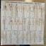 Blattmeridiane: Tendinomuskuläre, verschiedene, außerordentliche, Haupt- und Seitenäste (Blattmaße: 70 x 50 cm) – AUSGANG